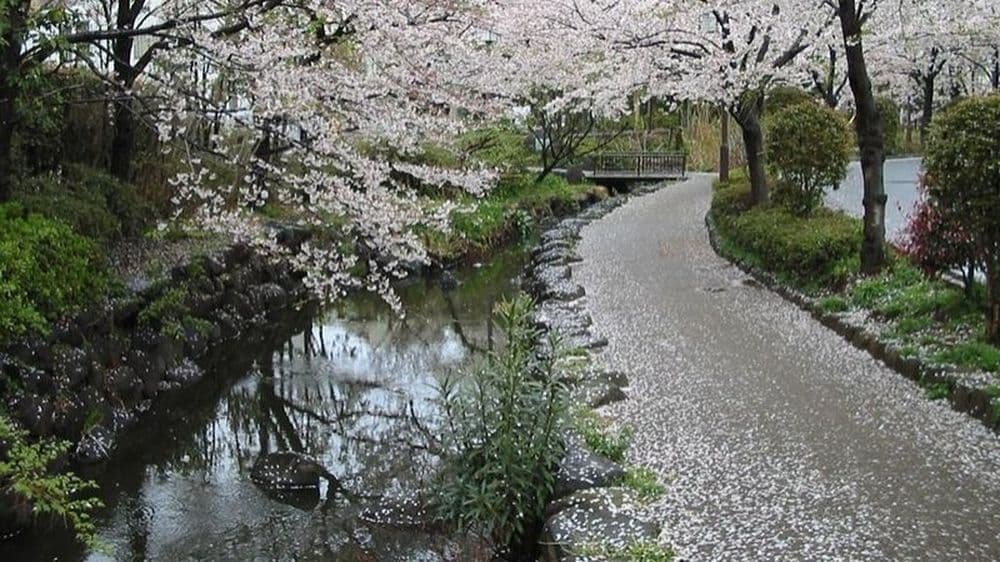 Shinsui-Kôen