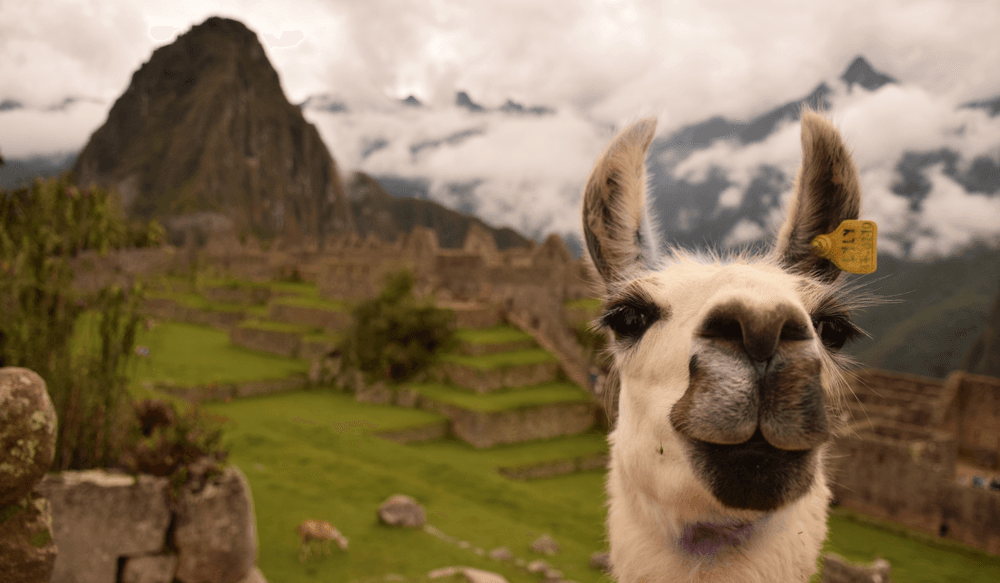 Peru