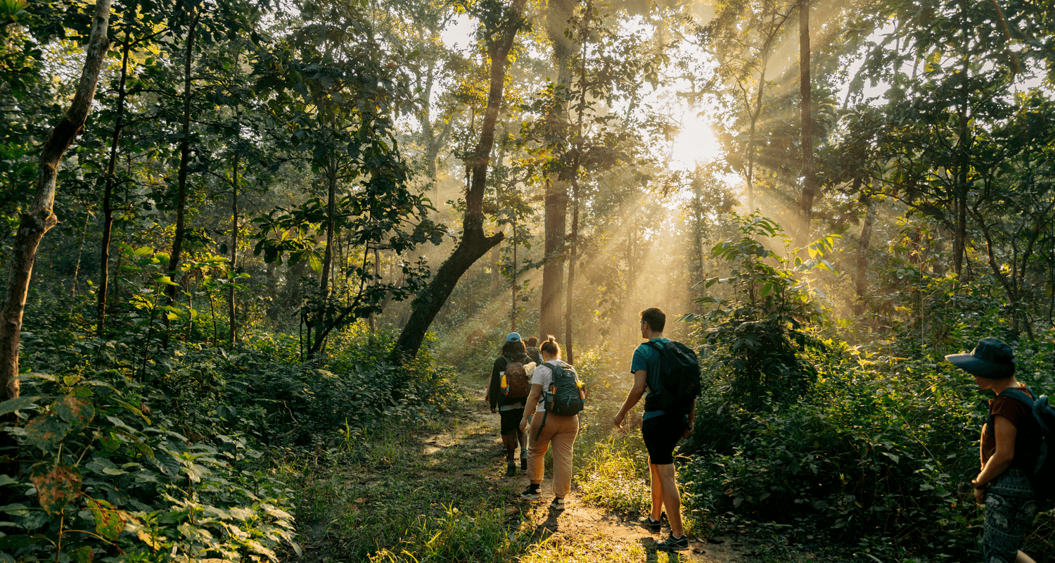 Jungle walk CHitwan