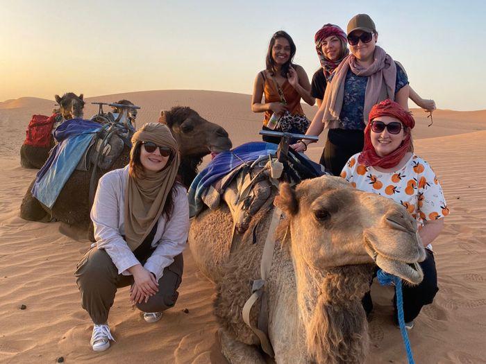 Morocco Sahara Camel