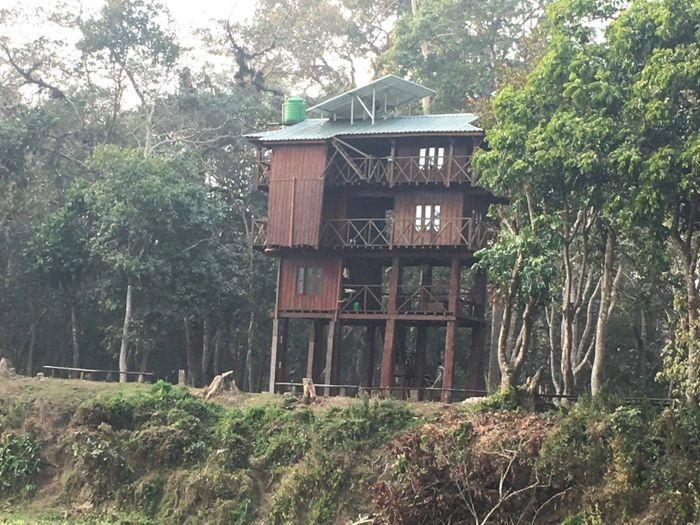 Tree house Chitwan National Park