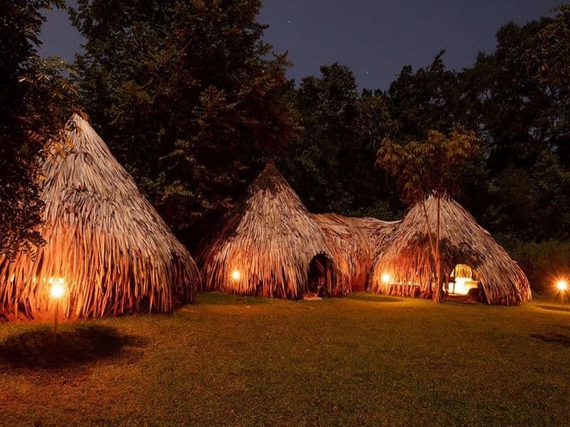 Banyan Camp